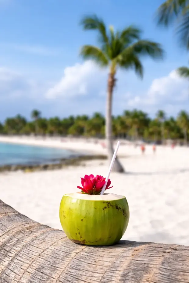 Предложения от Лайт Тур