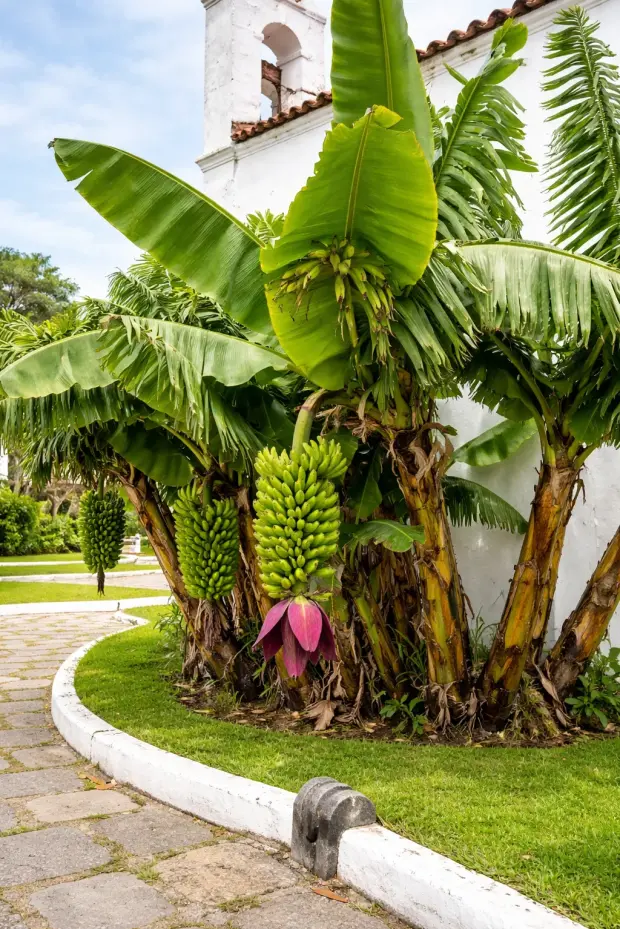 Сколько стоит отдых «все включено» в Варадеро?