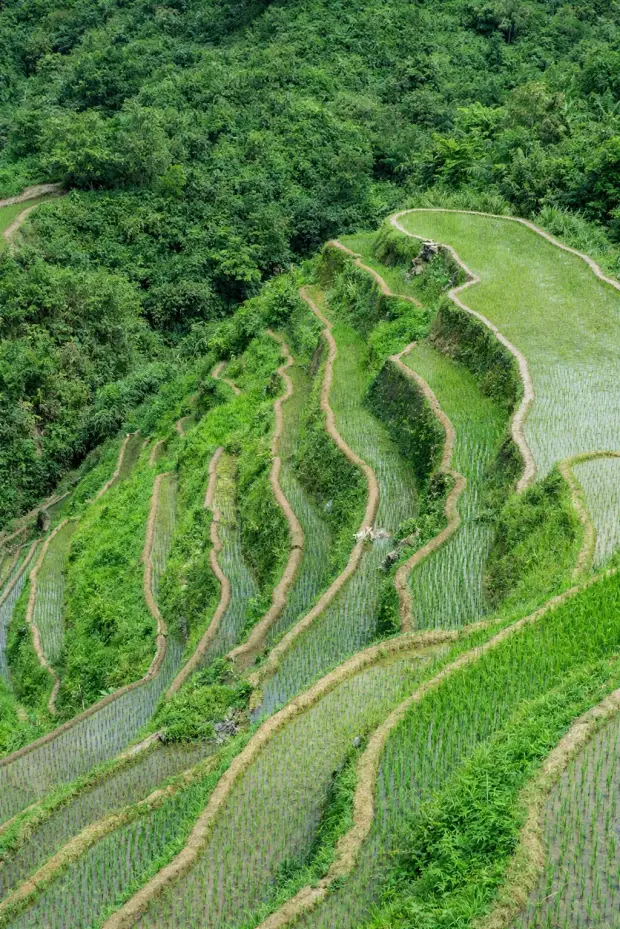 Раннее бронирование туров 2026 в Нячанг