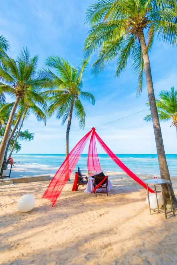 Туры на Шри Ланку: Зима (декабрь, январь, февраль)