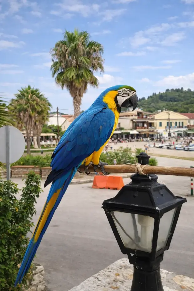 Индивидуальный подбор тура в Гавану